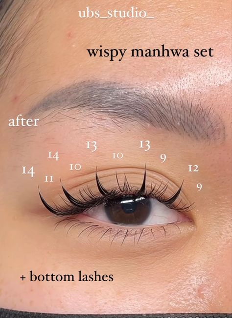 Rabbit Style Eyelashes, Douyin Lash Extensions, Manga Lash Extension Map, Manhua Lashes Map, Manhwa Eyelashes, Manhwa Lash Extensions, Anime Lash Map, Manga Lash Map, Kawaii Lashes