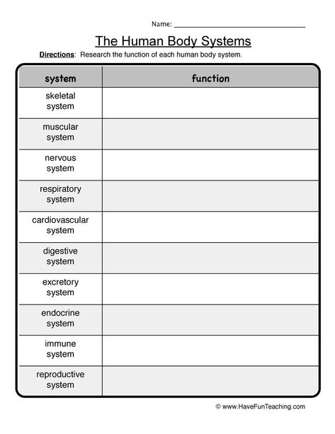 Human Body Systems Worksheet Human Body Systems Worksheets, Teaching Body Systems, Medical Interpreter, Human Body Lesson, Human Body System, Body Systems Worksheets, Human Body Worksheets, Human Body Projects, Free Human Body