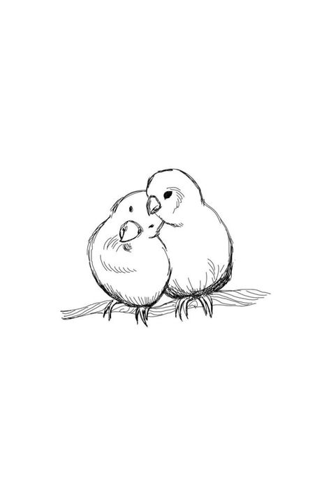 Hand drawn two lovebird parrots outline sketch. Vector bird black ink drawing isolated on white background. Graphic animal illustration. 3 Birds Drawing, Two Birds Drawing, 2 Birds Drawing, Animals In Love Drawing, Cute Birds Drawing, Animal Couple Drawing, Birds In Love Drawing, Love Bird Drawing, Valentines Day Sketches