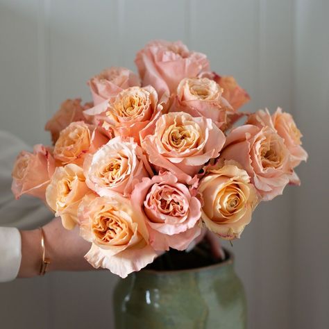 Peach Roses Bouquet, Peach Roses Wedding, Salmon Roses, Shimmer Rose, Flower Bouquet Delivery, Broken Rose, Color Melon, Peach Salmon, Flower Types