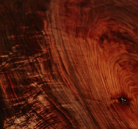 Red Stained Wood, Orchard Tree, Live Edge Slabs, English Walnut, Red Oak Wood, Red Stain, Grain Texture, End Grain, Stained Wood