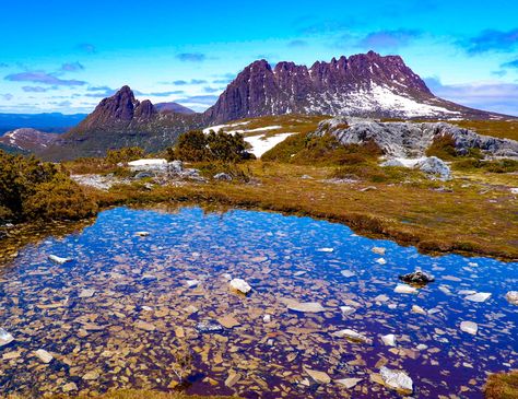 Discover the magic of Cradle Mountain! 🌄 Lush landscapes & serene lakes await in Tasmania's natural haven. Click to explore this breathtaking destination! #Wanderlust #TasmaniaAdventure Tasmania Landscape, Cradle Mountain Tasmania, Cradle Mountain, Tasmania Australia, Nature Wallpapers, Tasmania, Nature Wallpaper, The Magic, Lush