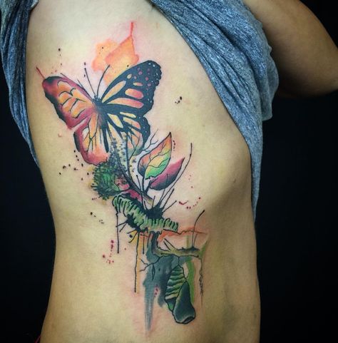 Metamorphosis Butterfly Metamorphosis Tattoo, Metamorphosis Tattoo, Caterpillar Tattoo, Teen Tattoos, Evolution Tattoo, Butterfly Metamorphosis, Moth Tattoo Design, Unique Butterfly Tattoos, Art Teen