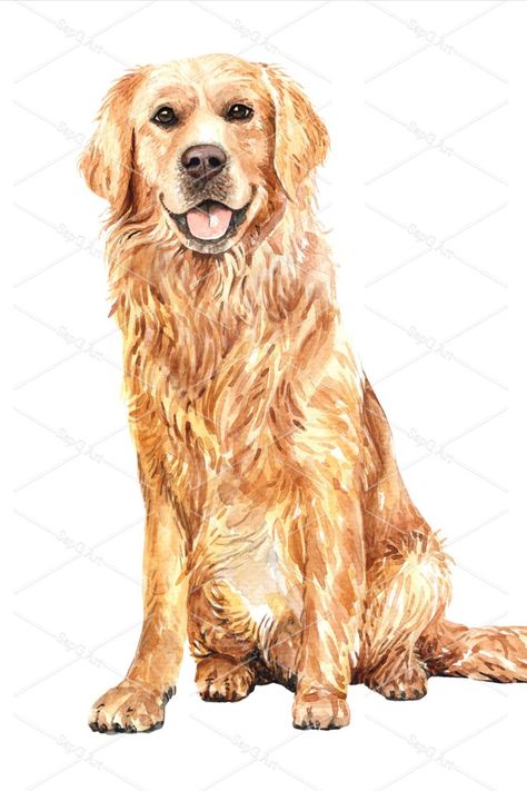 Dog Drawing Golden Retriever, A Dog Drawing, Golden Retriever Sitting, Retriever Drawing, Golden Retriever Drawing, Golden Retriever Painting, Dog Illustration Art, Perros Golden Retriever, Dog Golden Retriever