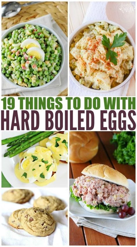 Things to do With Leftover Hard Boiled Eggs Things To Make With Boiled Eggs, What To Make With Hard Boiled Eggs, Recipes Using Hard Boiled Eggs, Chicken Egg Salad, Leftover Hard Boiled Eggs, Ham Salad Sandwich, How To Make A Poached Egg, Hard Boiled Egg Recipes, Hard Boiled Egg