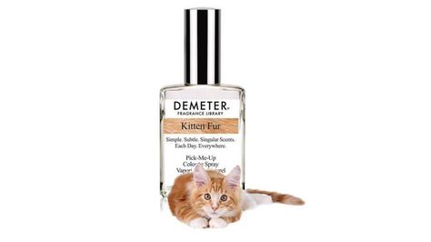 Want to smell like kitten fur? There’s a perfume for that - National | Globalnews.ca Demeter Fragrance, Fragrance Library, Young Animal, Perfume Design, Cologne Spray, Cat Pin, Cool Gifts, Cats And Kittens, Makeup Tutorial