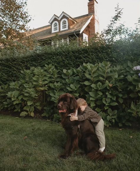 Family Dog Aesthetic, Vision Board Dog, Big Dog Aesthetic, Big Family Aesthetic, Kids With Dogs, Big Doggies, I Need A Big Boy, Family Dog Photos, Dog And Baby