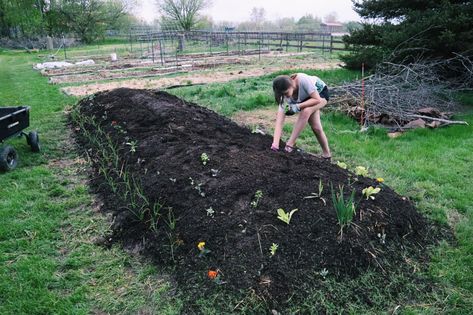 Step by Step Guide for Building a Hugelkultur Garden Bed – SUNSHINE FARM German Accent, Hugelkultur Garden, Celery Plant, Back To Eden, Mushroom Compost, Homestead Ideas, Vegetable Garden Raised Beds, Organic Compost, Permaculture Design