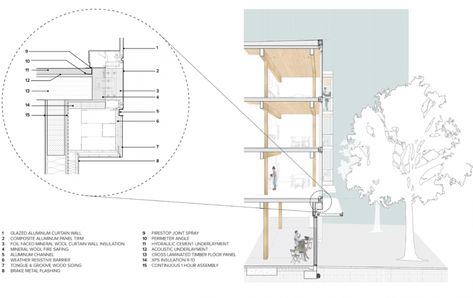 Clt Detail Section, Clt Construction Detail, Wall Section Architecture, Wall Section Detail Architecture, Timber Wall Detail, Clt Detail, Architecture Sections, Section Detail, Wall Section Detail