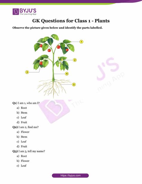 GK Questions for Class 1 - Plants Plant Activities, Quiz Questions And Answers, Knowledge Quiz, Gk Questions, About Plants, Parts Of A Plant, Special Education Classroom, All About Plants, Student Activities