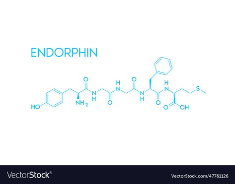 Endorphins Chemical Structure, Endorphins Tattoo, Endorphin Tattoo, Sport Science, Chemical Structure, Chemical Formula, Human Brain, Business Names, Transparent Png