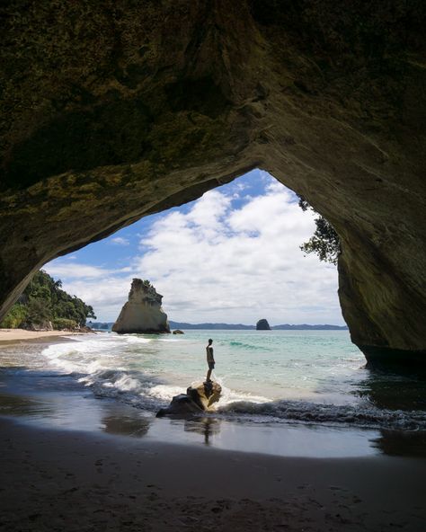 Hiking New Zealand, Cathedral Cove, New Zealand Itinerary, New Zealand North, The Arch, Road Trip Itinerary, Relaxing Day, Travel Itinerary, Outdoor Travel