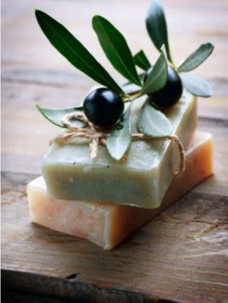 olivia's fascination ᵂᴵᵀᴴ olives Olive Oil Skin Care, Olive Farm, Olive Oil Skin, The Olive Branch, Olive Grove, Olive Oil Soap, Organic Cosmetics, Olive Gardens, Olive Trees