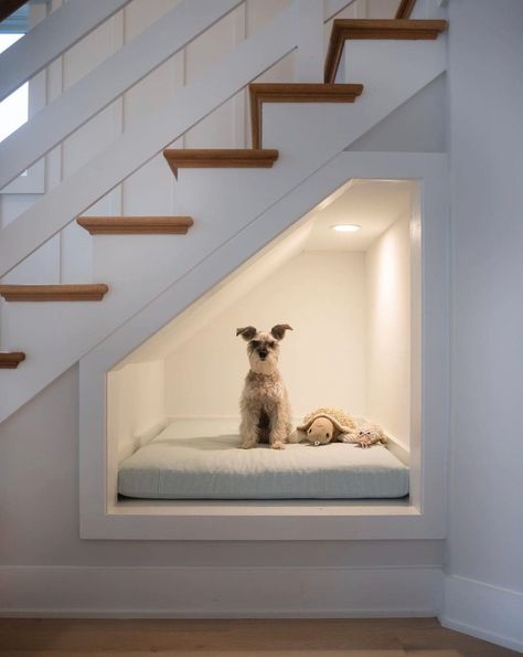 17 Best Under Stair Design Ideas To Maximize Your Home Barkitecture Ideas, Dog Under Stairs, Bed Under Stairs, Under Stairs Dog House, Dog Nook, Under Stairs Nook, Stair Nook, Dog Room Decor, Dog Bedroom