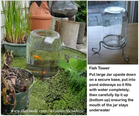 Fish pond idea Fish Tower, Boat Planter, Outdoor Fish Ponds, Kolam Koi, Taman Air, Goldfish Pond, Outdoor Ponds, Garden Pond Design, Diy Pond