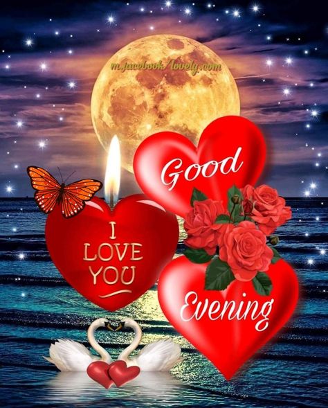 Goodevening Flowers, Good Evening My Love Romantic, Good Evening My Love Romantic Beautiful, Good Evening My Love, Good Evening Images Beautiful, Good Evening Love Images, Have A Lovely Evening, Good Evening Quotes For Him, Gud Evening Images Love