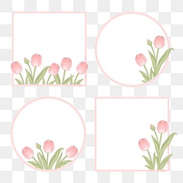 Tulip Png, Tulip Border, Flower Border Png, Fresh Tulips, Wreath Illustration, Light Pink Wedding, Vector Border, Border Png, Watercolor Tulips