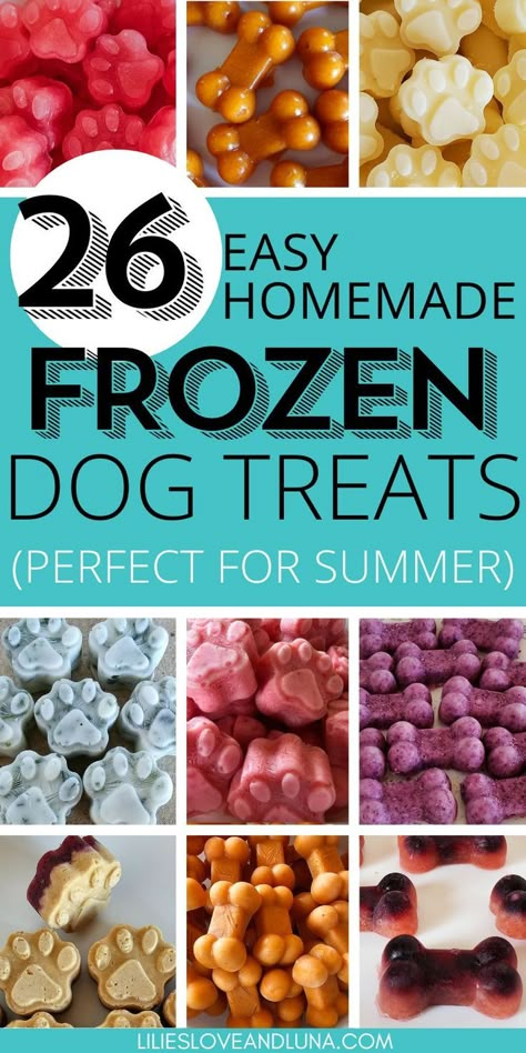 Frozen dog treats make a great summertime treat for your dog. This collection of 20+ simple dog popsicles recipes gives you plenty of variety for your dog. Homemade frozen dog treats are easy to make and have in your freezer to give to your dog. Dog Popsicles Recipe, Dog Treats For Summer, Dog Treats To Make, Homemade Frozen Dog Treats, Frozen Dog Treats Recipes, Dog Popsicles, Popsicles Recipes, Dog Homemade, Frozen Dog Treats Homemade