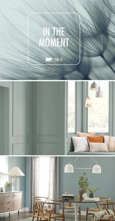 Light Wood Furniture, Behr Colors, Behr Paint, Bedroom Paint Colors, Design Seeds, Interior Paint Colors, Natural Home Decor, Cool Ideas, Bedroom Paint