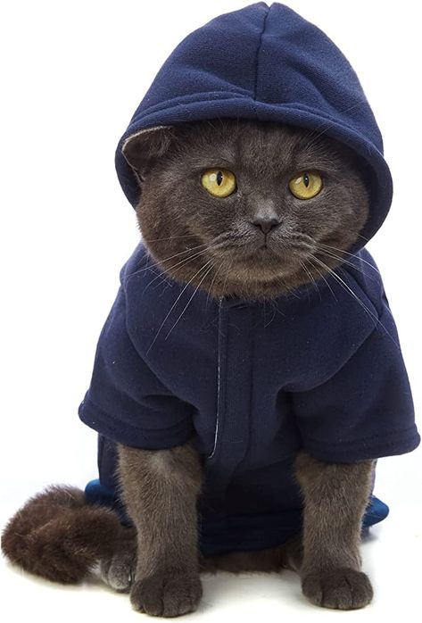 Cat Wearing Hoodie, Cat In Hoodie, Clothes For Cats, Cat Outfits, Stylish Knitwear, Pet Artist, Cat Language, Winter Hoodie, Cardigan Design