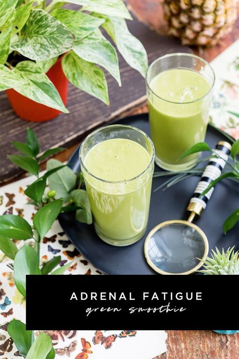 I’ve got the skinny on the adrenal fatigue diet, as well as a great smoothie recipe for you. Drink to your health with this simple recipe. Adrenal Fatigue Recipes, Adrenal Diet, Adrenal Fatigue Diet, Adrenal Cocktail, Food That Causes Inflammation, Smoothie Popsicles, Easy Green Smoothie, Adrenal Support, Adrenal Health