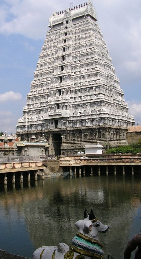 Thiruvannamalai Temple, Aesthetic Temple, Arunachala Shiva, Srikalahasti Temple, Ancient Carvings, Spiritual Photos, Temple India, Indian Temple Architecture, Happy Pongal