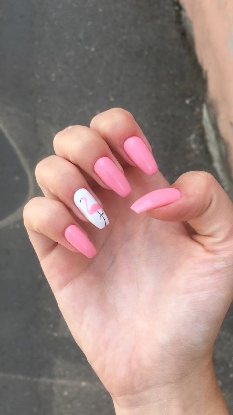 Pink Flamingo Nails, Flamingo Nails, Nails Coffin Short, Acrylic Nails Coffin Short, Beach Nails, Acrylic Nails Coffin, Pink Flamingo, Nails Coffin, Pink Flamingos