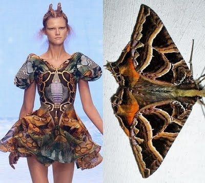 Love this!  from Alexander McQueen's 2010 Spring/Summer runway show, “Plato's Atlantis. #InterestingThings Moth Types, 2010 Fashion Trends, Fashion Show Themes, Nature Inspired Fashion, Butterfly Costume, Summer Runway, Ellie Saab, Savage Beauty, Fashion Inspiration Design