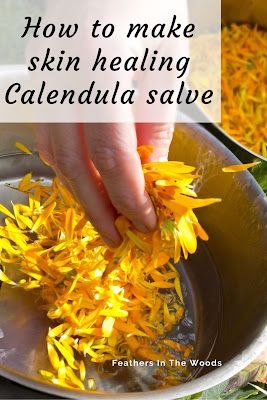 Make your own Calendula skin salve - Feathers in the woods Salves And Balms, Healing Salve Recipe, Calendula Salve, Healing Salve, Salve Recipes, Herbal Salves, Healing Remedies, Working Hands, Healing Salves