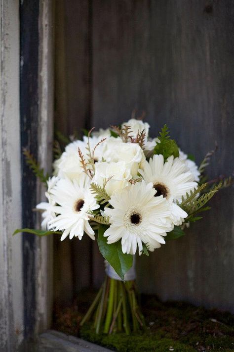 Gerbera Daisy Bouquet, Gerbera Bouquet, Daisy Wedding Flowers, Daisy Wedding, Daisy Bouquet, Gerber Daisies, White Wedding Bouquets, Growing Roses, Gerbera Daisy