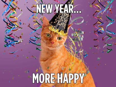 HAPPY New Year from Happy the Cat! Hope it's the happiest year ever! Happy The Cat, Happy New Year Message, Cat Happy, New Year Message, Fun Photos, Happy Year, Hallmark Channel, Happy Cat, All About Cats