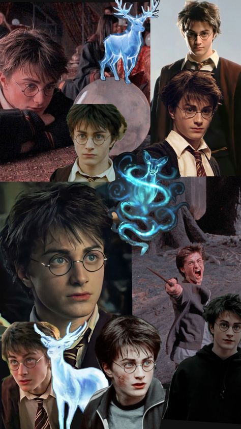 This is my Harry Potter collage. It is my first ever post, enjoy! 😊 Harry Potter Collage, Harry Potter Wallpaper Backgrounds, 80s Pop Culture, Harry Potter Tumblr, Harry James, Harry James Potter, Harry Potter 2, Harry Potter Theme, Harry Potter Film