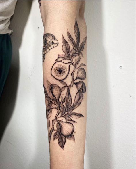 Fig Flower Tattoo, Realistic Botanical Tattoo, Fig Leaves Tattoo, Fig Plant Tattoo, Fruit Branch Tattoo, Fig Tree Tattoo The Bell Jar, Botanical Fillers, Fig Branch Tattoo, Fig Leaf Tattoo