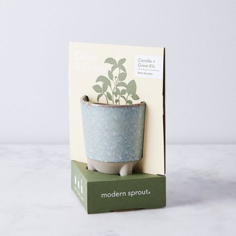 'Growing' Candles Exist, and They're the Best Gift Idea of All Time | Glamour Candle Modern, Trendy Plants, Candle Glow, Grow Kit, Cozy Gift, Sustainable Gifts, Growing Herbs, Creative Packaging, Ceramic Vessel