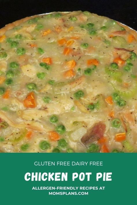 Gluten Free Dairy Free Chicken Pot Pie Recipe Lactose Free Chicken Pot Pie, Chicken Pot Pie Recipe Dairy Free, November Meals, Dairy Free Chicken Pot Pie, Dairy Free Thanksgiving Recipes, Gluten Free Chicken Pot Pie, Dairy Free Thanksgiving, Chicken Pot Pie Recipe, Gluten Free Pie Crust