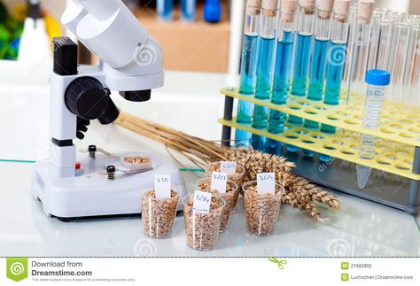 Food Microbiology, Food Supply Chain, Microbiology Lab, Microscopic Organisms, Contaminated Food, Petri Dishes, Food And Beverage Industry, Soil Testing, Food And Beverage