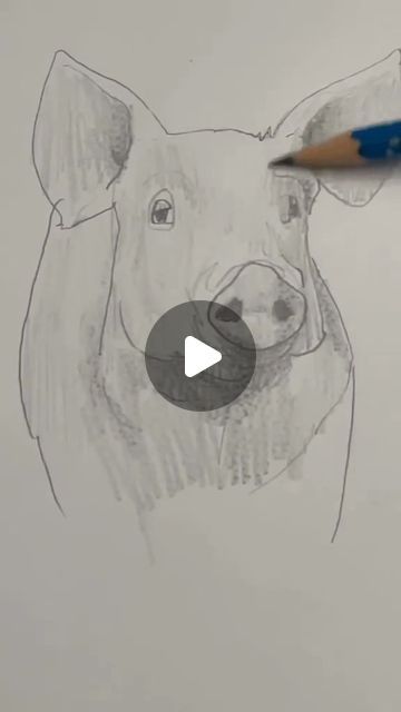 Cute Pigs Drawing, Draw A Pig Step By Step, Pig Drawing Simple, Pig Sketch Easy, Pig Simple Drawing, Pig Drawing Realistic, Pig Standing Up Drawing, Pig Drawing Easy, Pig Snout