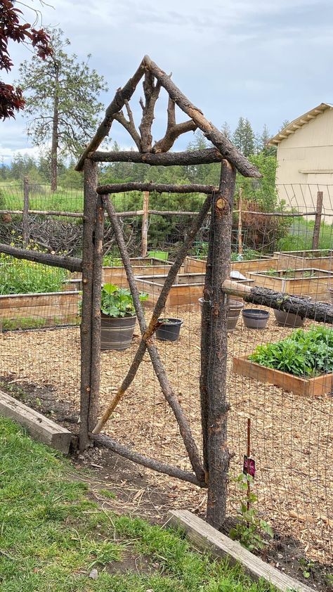 Rustic Garden Fence, Crafts For Kids Paper, Diy Garden Fence, Have Inspiration, Crafts Paper, Garden Yard Ideas, Vegetable Garden Design, Wood Plans, Paper Towel Rolls