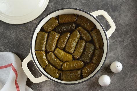 BEST Greek Vegetarian Stuffed Grape Leaves (Dolmades Yialantzi) Dolmades Recipe, Greek Vegetarian, Stuffed Grape Leaves, Lemon Mint, Vegetable Stock, Meatless Meals, Pine Nuts, Greek Recipes, Grape Leaves