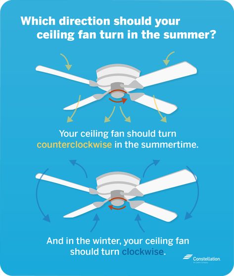 Fan Direction For Summer, Ceiling Fan Direction, Ceiling Fan Switch, Traditional Ceiling Fans, Ceiling Fan Blades, Energy Resources, Diagram Design, Household Cleaning Tips, Simple Life Hacks