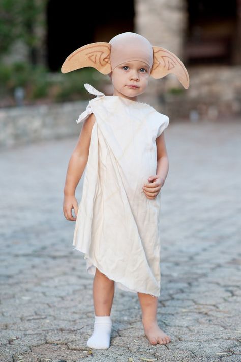 Dobby Costume, Golden Retriever Birthday, Harry Potter Halloween Costumes, Halloween Parejas, Dobby Harry Potter, Harry Potter Halloween, Harry Potter Costume, Dress Up Costumes, Fantasias Halloween