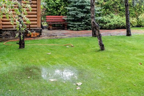 12 Ways to Fix a Soggy Yard Soggy Yard, Yard Drainage, Pool Water Features, French Drain, Drainage Solutions, Bob Vila, Septic System, Rain Water Collection, Backyard Inspo