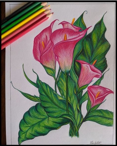 Colorful Drawings Flowers, Sketch About Nature, Flowers Drawing With Pencil Colors, Beautiful Sketches Creative, Drawing Flowers Colored Pencils, Flower Drawing Colourful, Nature Drawings Simple Sketch With Color, Art With Color Pencil, Flower Drawing Realistic Colored Pencils