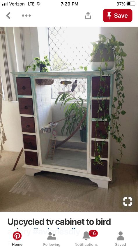 Bird cage made from dresser. Diy Finch Cage, Diy Bird Cage From Furniture, Bird Cage Ideas Indoor Diy, Finch Bird Cage Ideas, Bird Cage In Bedroom, Pet Bird Cage Ideas, Aesthetic Bird Cage Setup, Budgie Cage Setup Aesthetic, Diy Cockatiel Cage