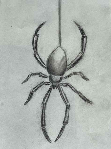 Inspired by another artists, charcoal pencils from General’s Spider Sketch, Easy Still Life Drawing, Spider Drawing, Spiderman Art Sketch, Spider Art, Charcoal Art, Still Life Drawing, Spiderman Art, Charcoal Drawing