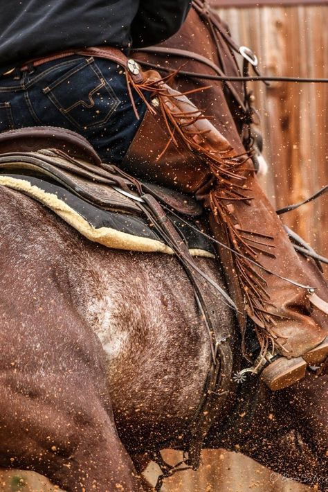 A Western Dream Western Aesthetic Wallpaper, Cowboy Photography, Western Photo, Cowboy Aesthetic, Western Photography, Real Cowboys, Western Wall Art, Rodeo Life, Horse Wallpaper