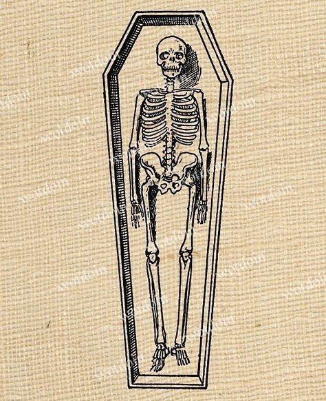 Coffin Drawings, Casket Tattoo, Coffin Drawing, Halloween Casket, Skeleton In A Coffin, Scary Wallpapers, Skeleton In Coffin, Coffin Tattoo, Skeleton Tattoo