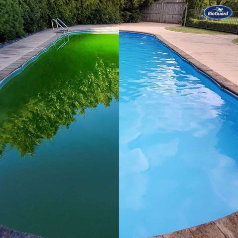 How remarkable is this pool transformation from BioGuard Poolside Christchurch, New Zeland? With the use of BioGuard pool chemicals and… | Instagram Pool Chemicals, Pool Builders, Pool Maintenance, January 29, Jump In, Pool Cleaning, Christchurch, Chemicals, Pool