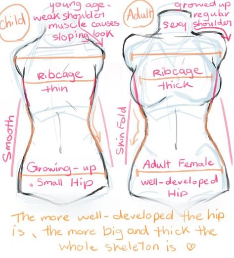 Hips Reference Drawing, Torso Reference Female, Torso Reference Drawing, Hips Drawing Reference, Female Character Sheet, Female Torso Reference, Basic Anatomy Drawing, Thick Body Reference, Female Anatomy Reference