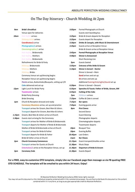 Wedding Timeline Day Of 2pm Ceremony, 2pm Wedding Timeline, Reception Schedule, Wedding Reception Schedule, Reception Order Of Events, Wedding Day Timeline Template, Reception Timeline, Wedding Reception Timeline, Wedding Day Itinerary